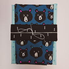 Load image into Gallery viewer, Wholecloth Quilt Kit - Teal Teddy w/Blue