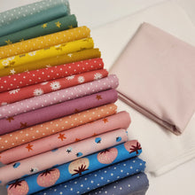 Load image into Gallery viewer, Birdling Quilt Kit

