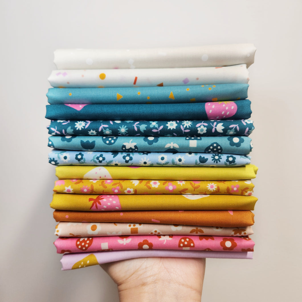 Picture Book Fat Quarter Bundle