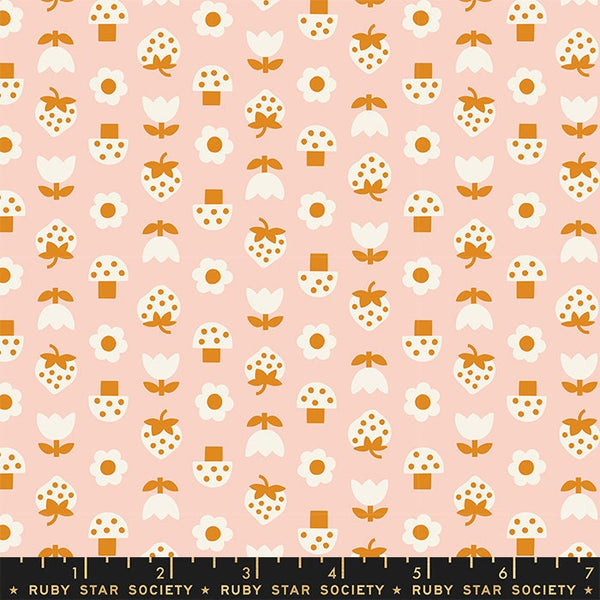 Picture Book
- Strawbitties in Peach