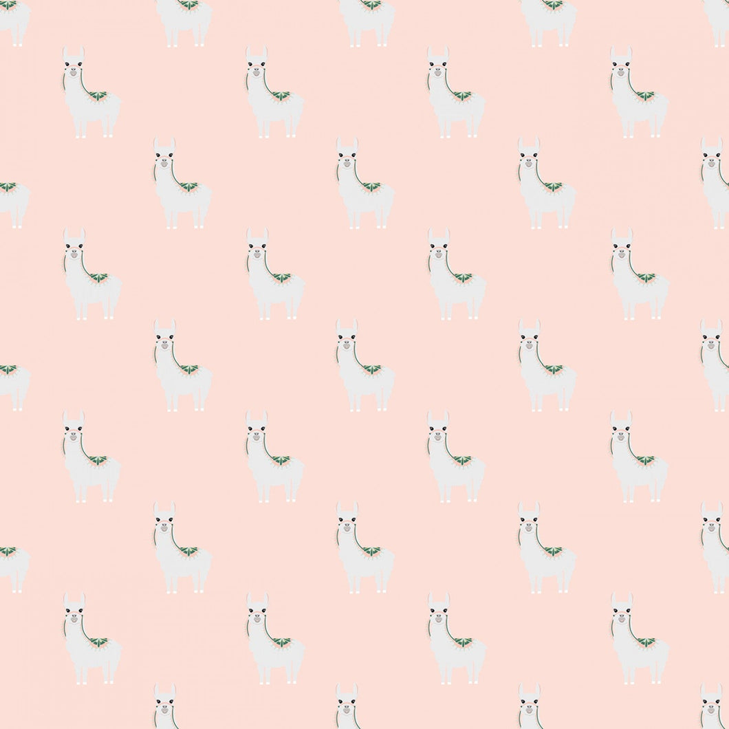 Hibiscus - Alpacas Blush
