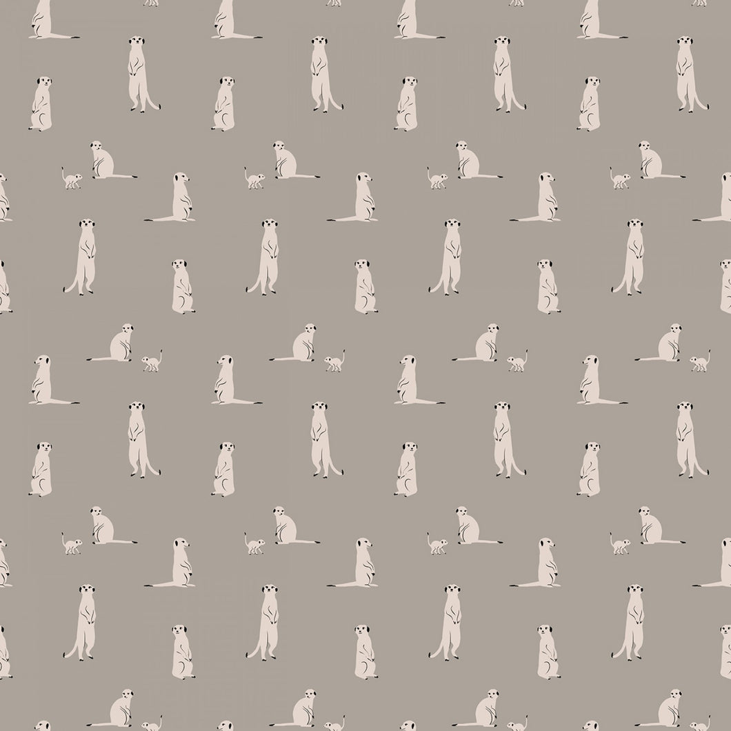 The Waterhole - Meerkat Gray