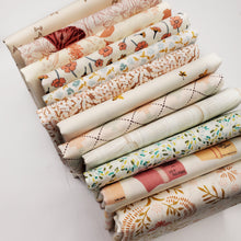 Load image into Gallery viewer, AGF Low Volume Fat Quarter Bundle
